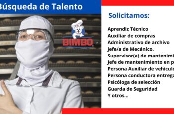 BIMBO: En bùsqueda de nuevos talentos.