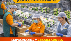 EMPACADORES DE PRODUCTOS