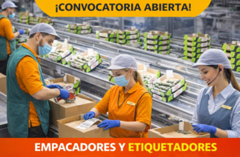 EMPACADORES DE PRODUCTOS