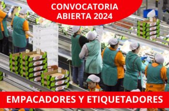 EMPACADORES DE PRODUCTOS